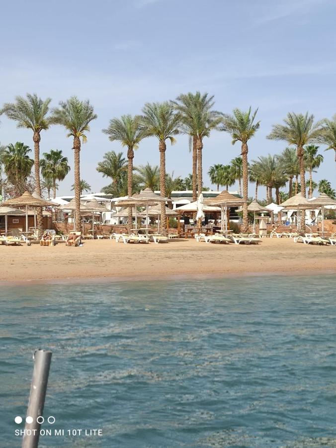 Seti Sharm Palm Beach Resort Families And Couples Only ภายนอก รูปภาพ